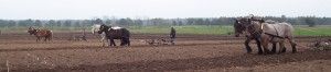 Kopie van sprundel (7)
