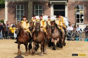 mooi rooi 6 2008
