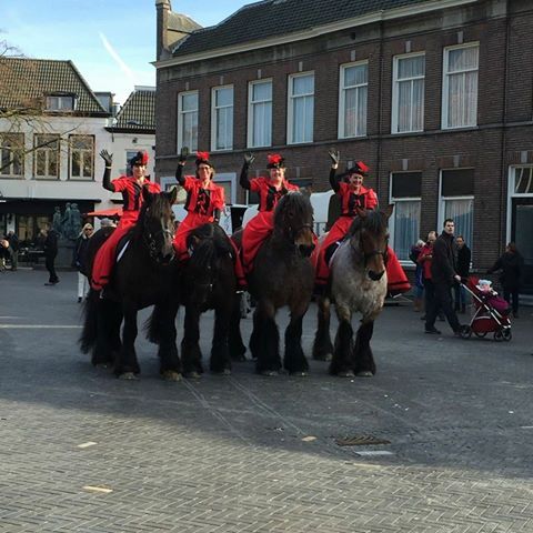 Zondag 07 augustus Horse & Outdoor bij Stad en Natuur te Almere
